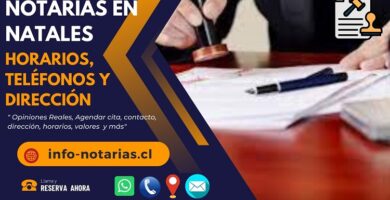 Notarías en Natales