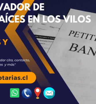 Conservador de Bienes Raíces en Los Vilos