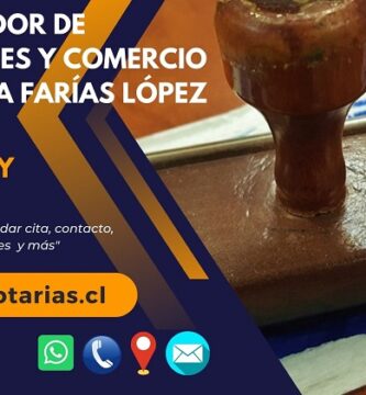 conservador de bienes m angelica farias lopez