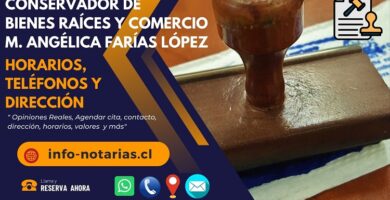conservador de bienes m angelica farias lopez