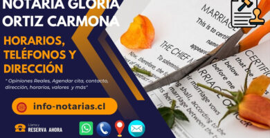 Notaría Gloria Ortiz Carmona