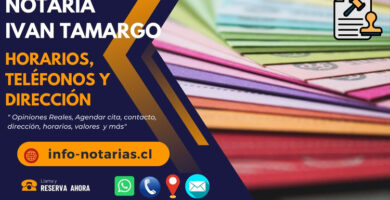 Notaría Ivan Tamargo